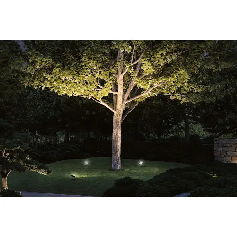 Spotlight Paulmann Flood Plug & Shine LED IP65 24V Bredd: 160 mm