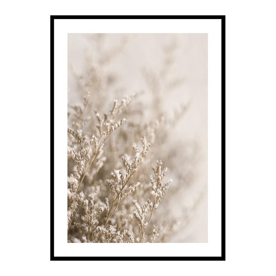 Poster Gallerix Dried Plants No5