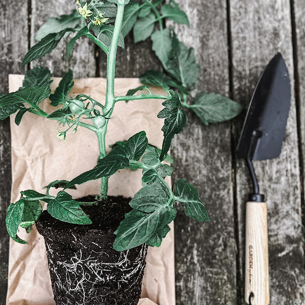 Planteringsspade by Benson