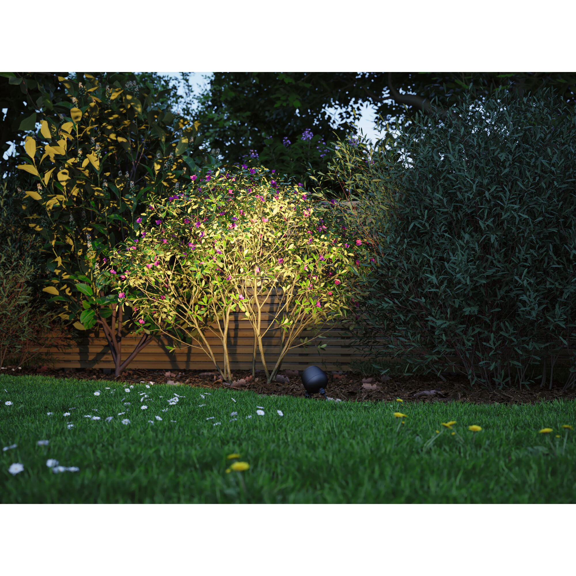 Spotlight Paulmann Kikolo Plug & Shine LED IP65 24V