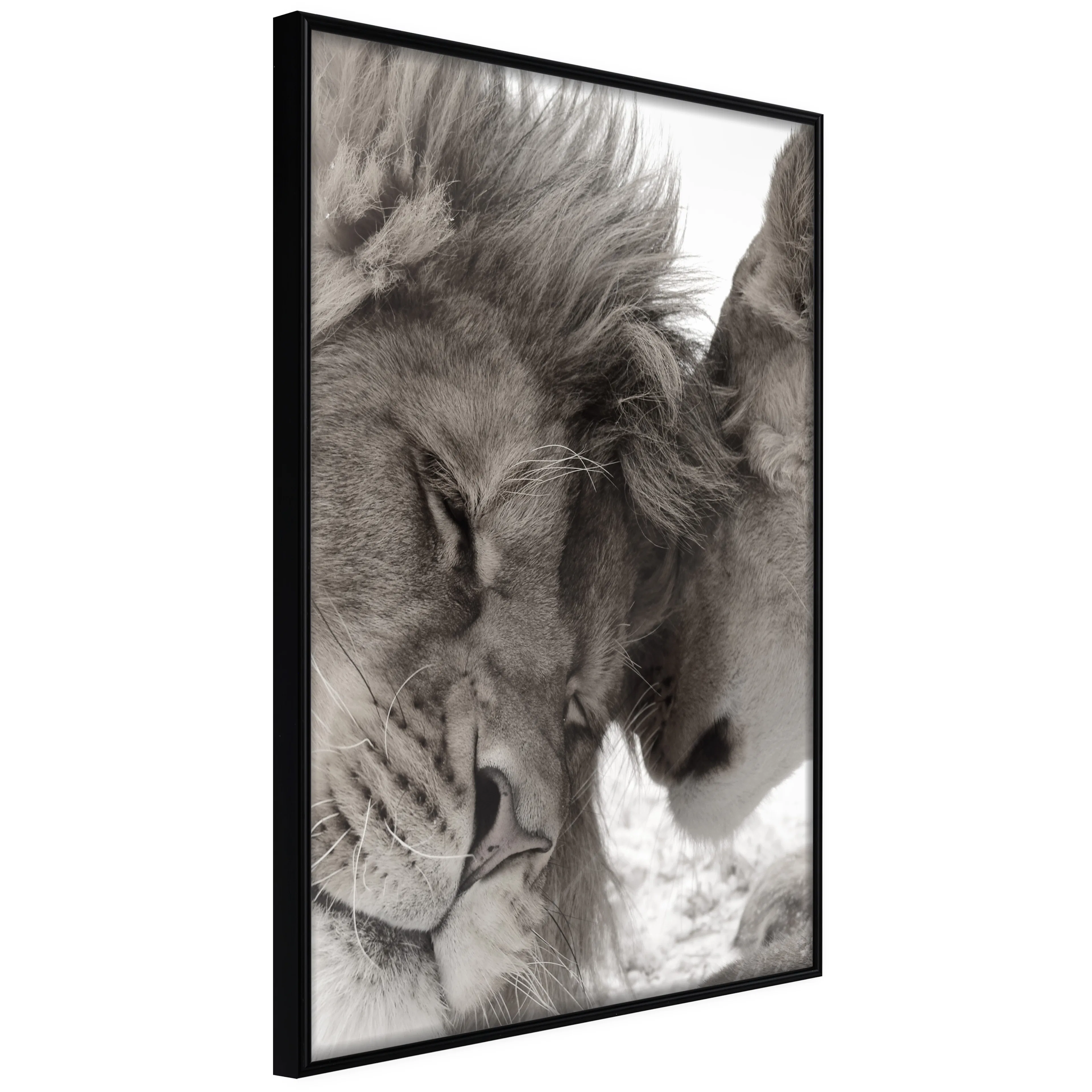 Affisch - Whispering Dreams [Poster] 30x45 Svart ram, 30x45 cm