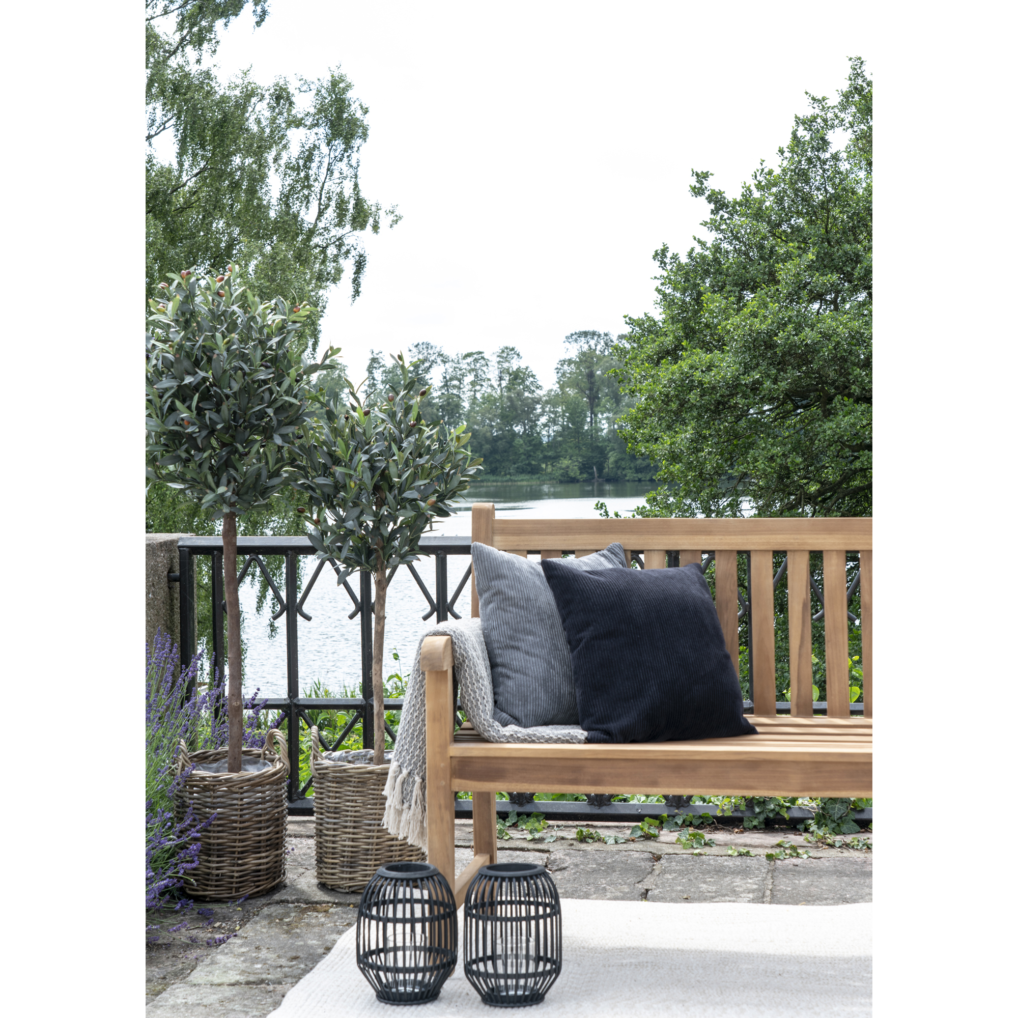 Konstväxt House Nordic Olive