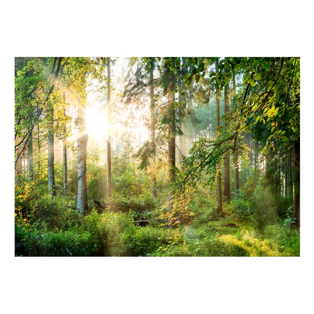 Fototapet Arkiio Självhäftande Untamed Nature