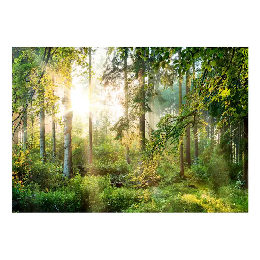 Fototapet Arkiio Självhäftande Untamed Nature