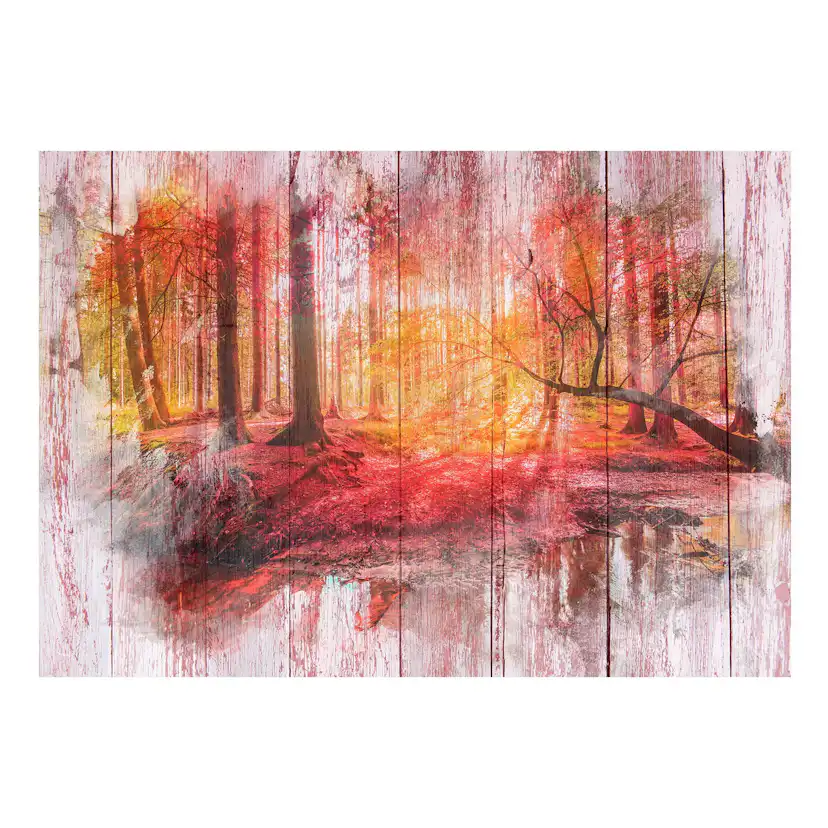 Fototapet Arkiio Självhäftande Självhäftande Autumnal Forest A3-SFT1622samA
