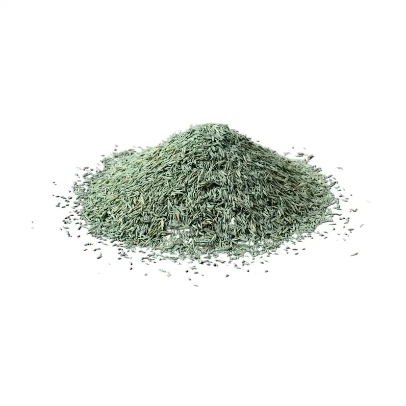 Gräsfrö Xeed Reparera 1 kg