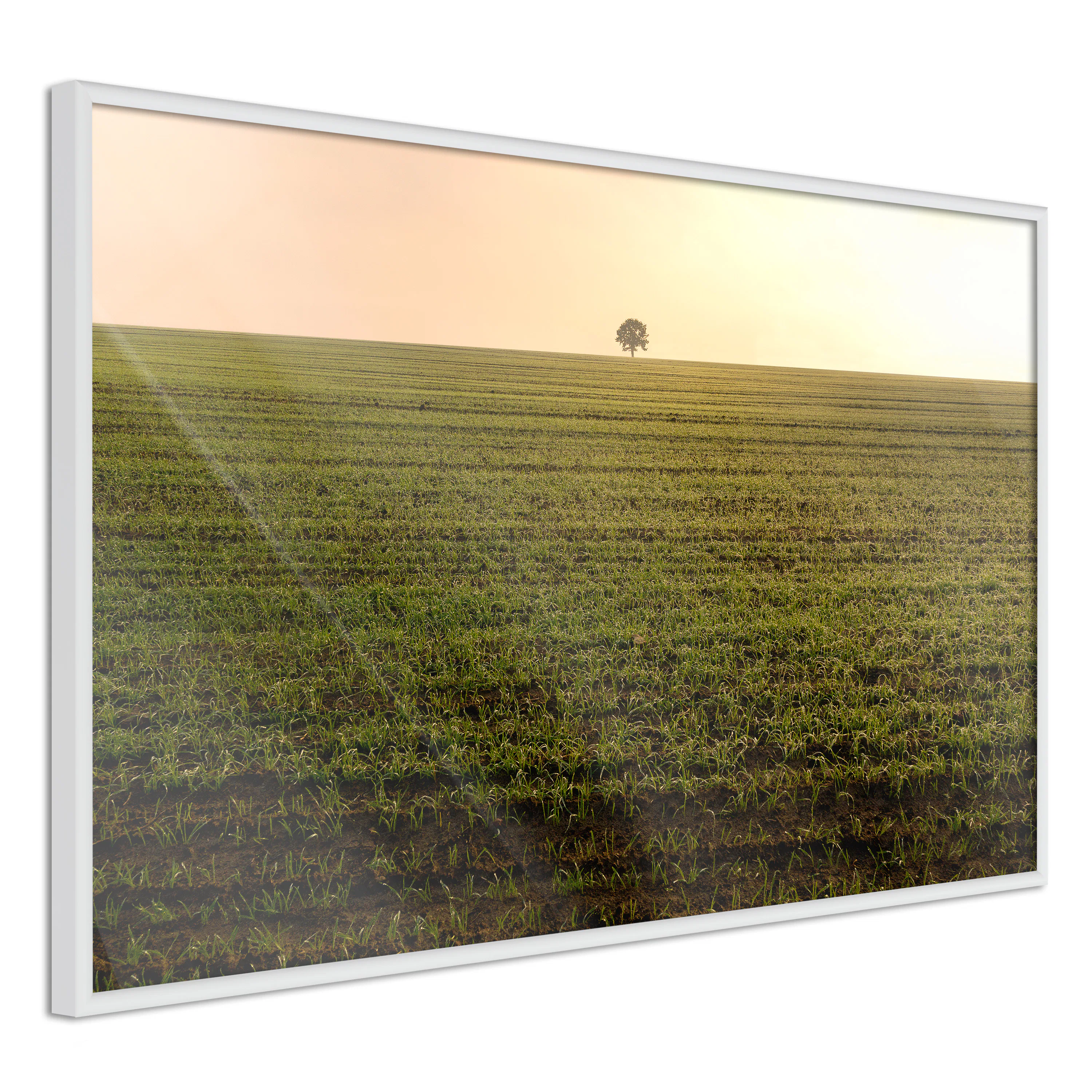 Poster Artgeist Affisch Autumn Morning