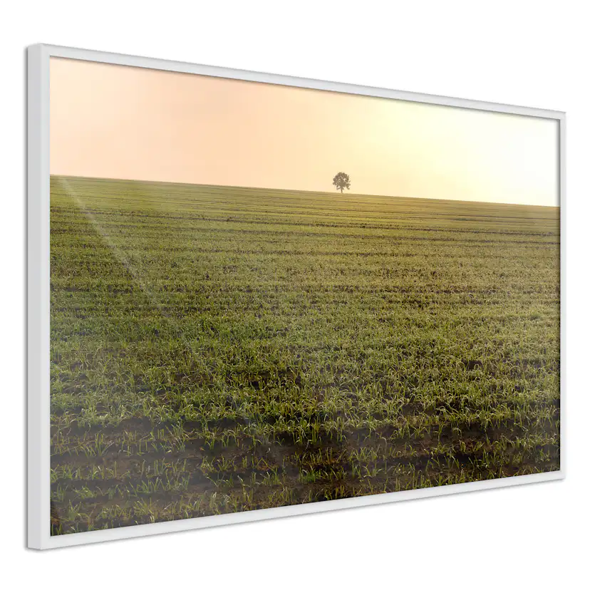 Poster Artgeist Affisch Autumn Morning