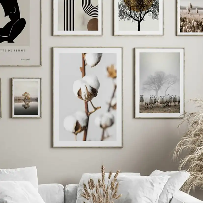 Poster Gallerix Cotton Close Up