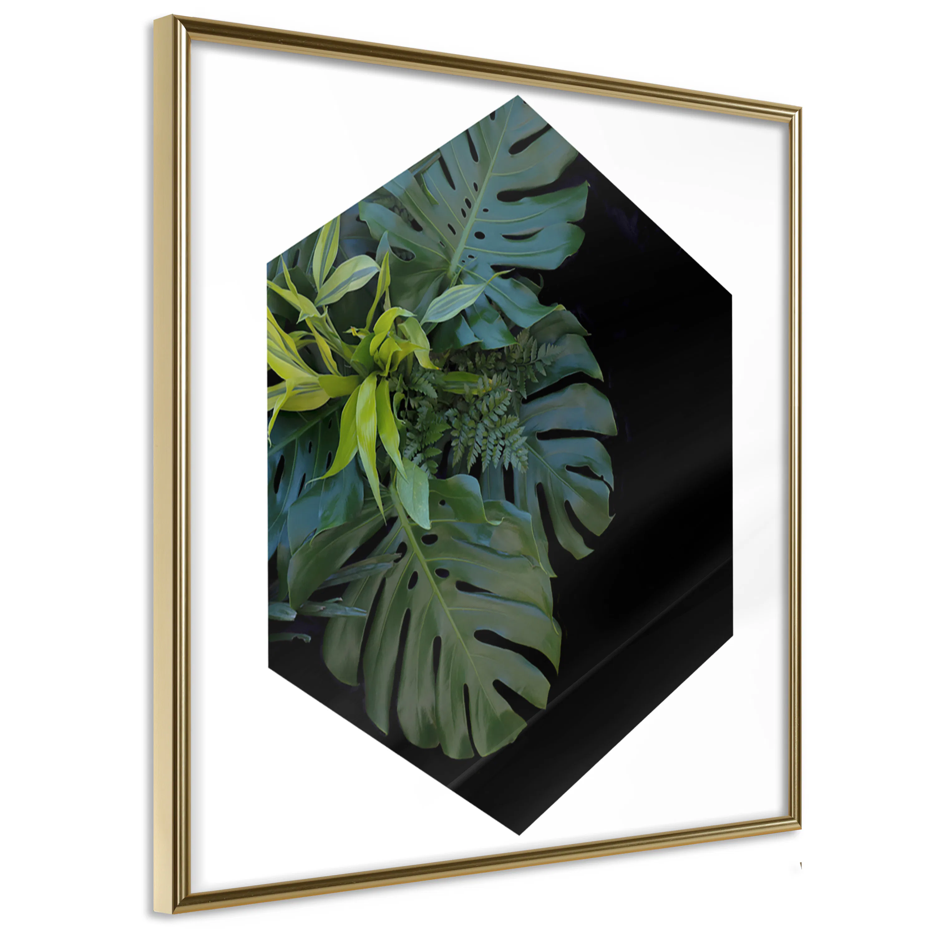 Poster Artgeist Affisch Plant Hexagon