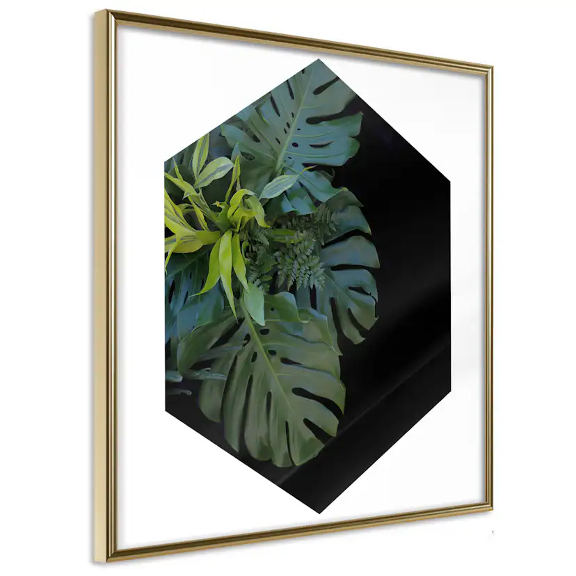 Poster Artgeist Affisch Plant Hexagon