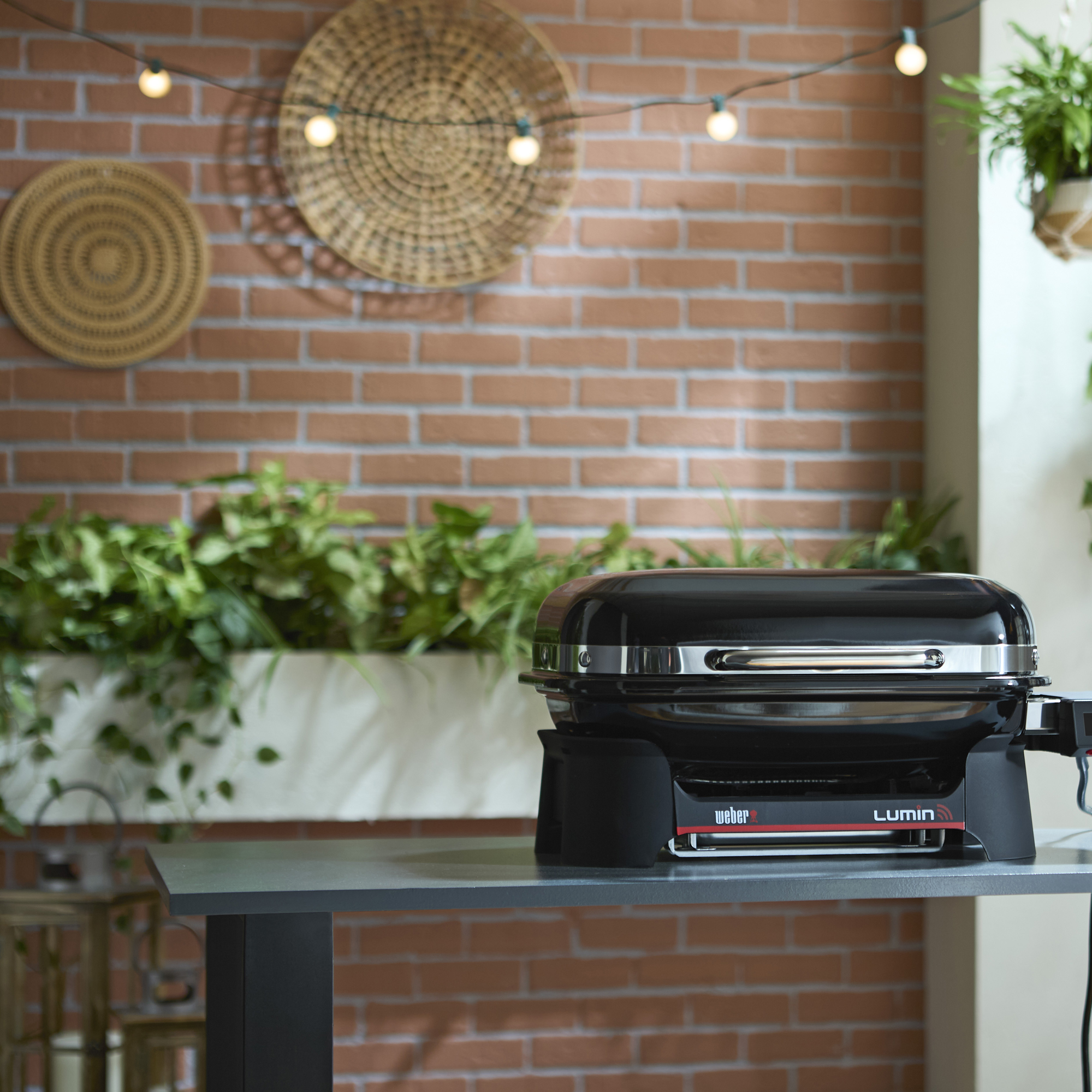 Elgrill Weber Lumin Compact Smart