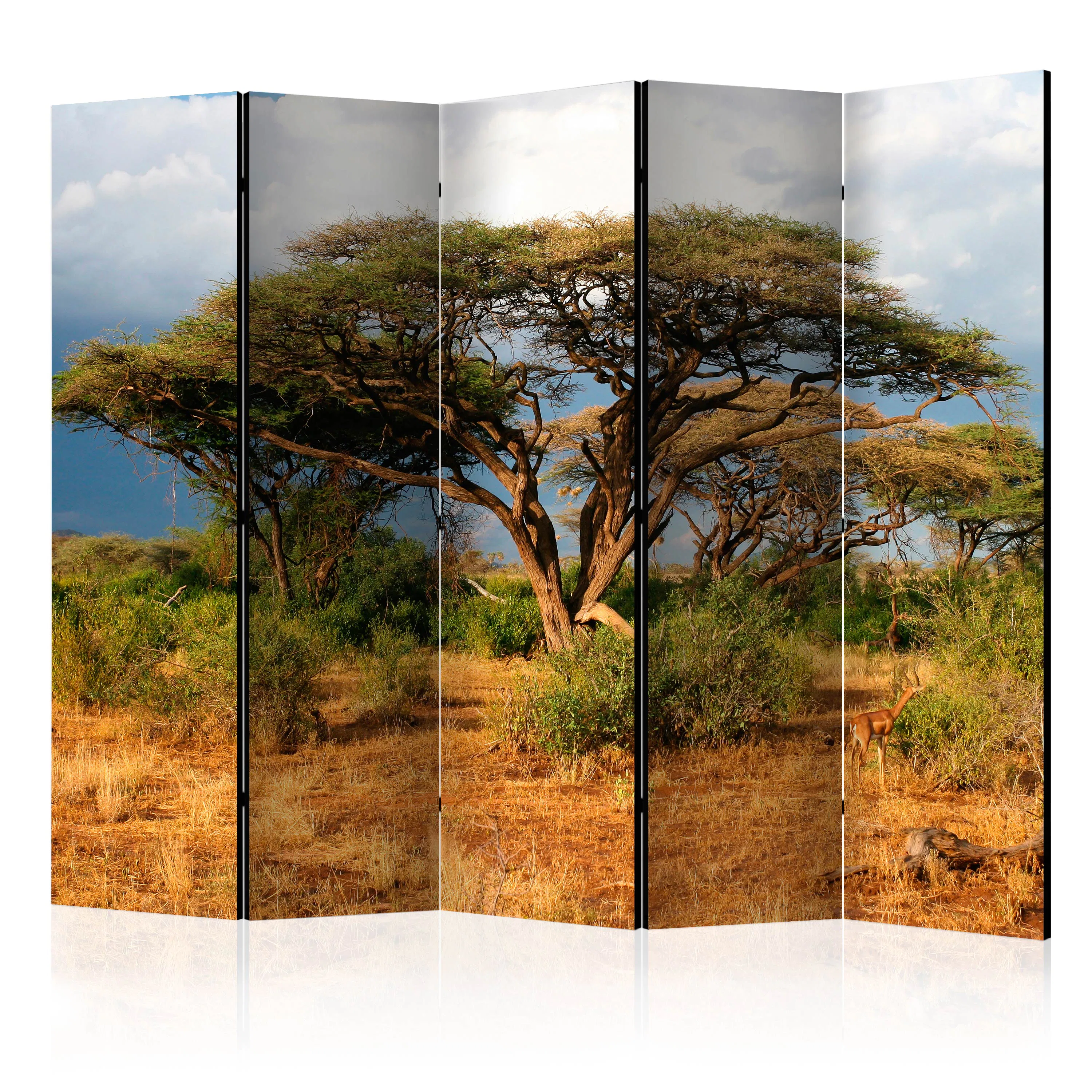 Rumsavdelare Skärmvägg Arkiio Samburu National Reserve Kenya II 225x172 cm