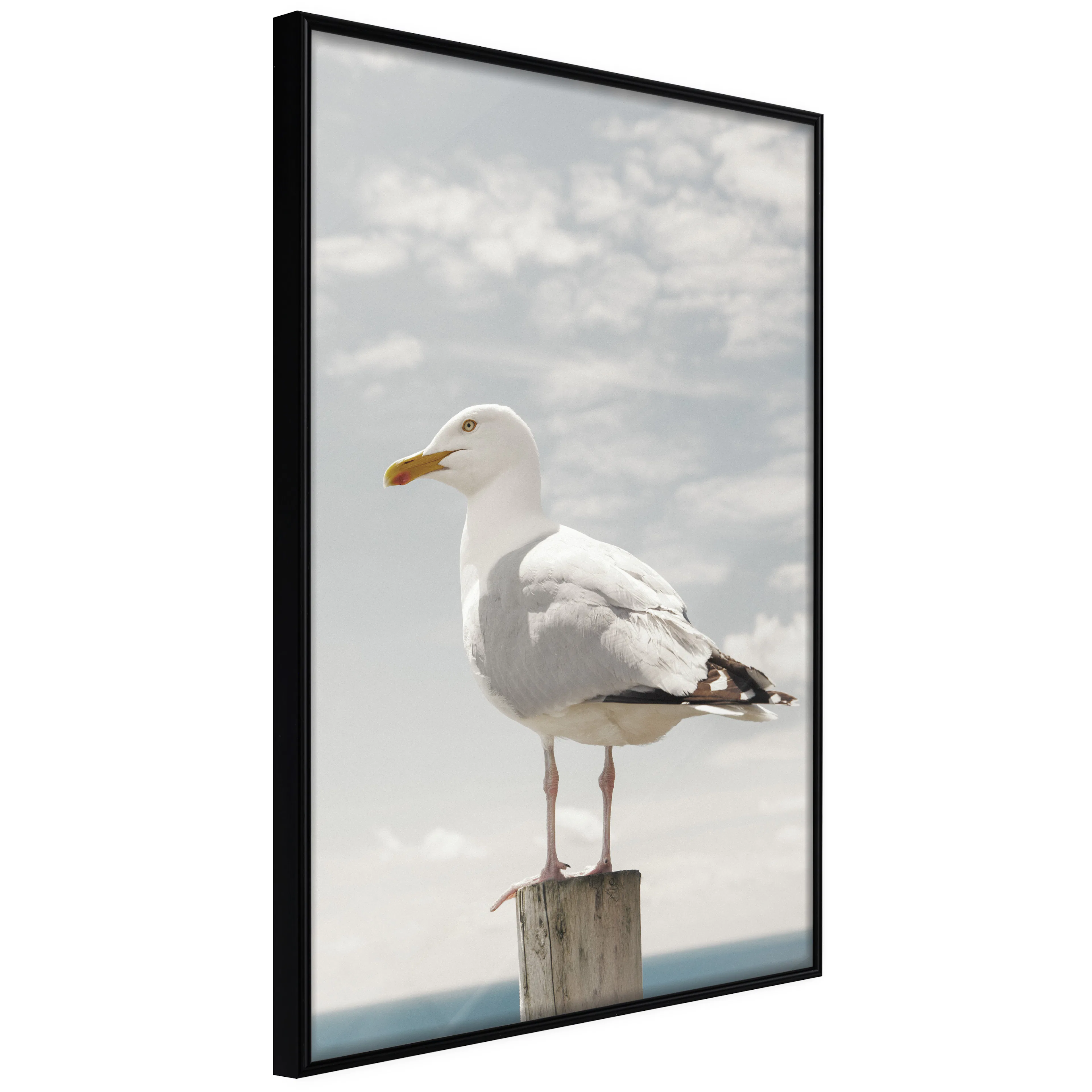 Affisch - Seagull [Poster] 20x30 Svart ram, 20x30 cm