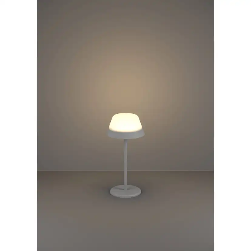 Bordslampa Eglo Meggiano