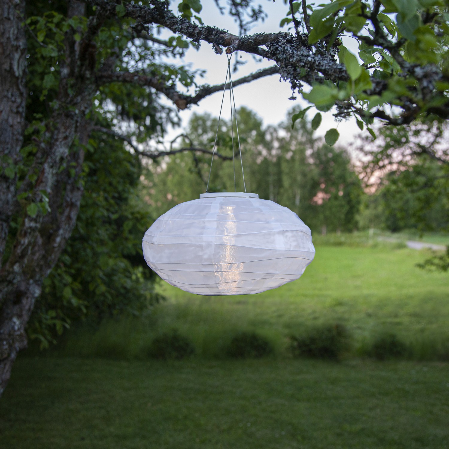 Solcellsdekoration Star Trading Festival 35  cm Vit