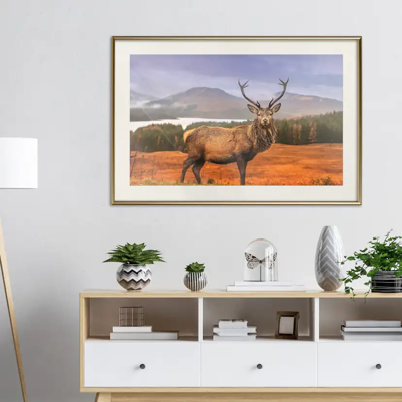 Poster Artgeist Affisch Scottish Stag
