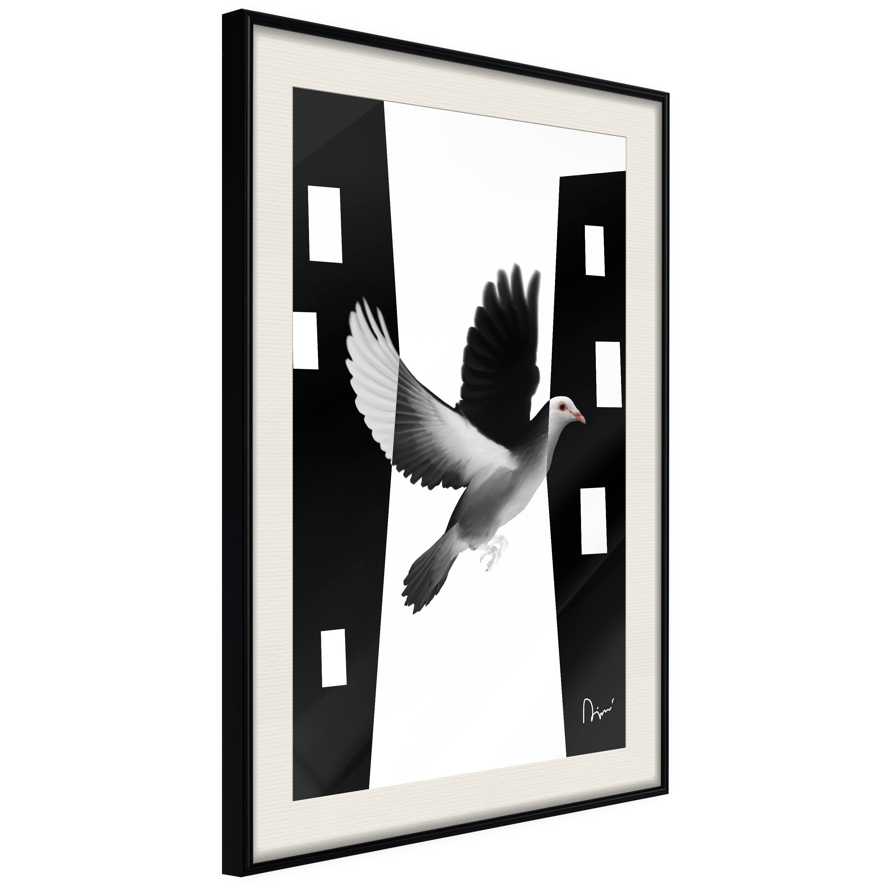 Poster Artgeist Affisch White Dove