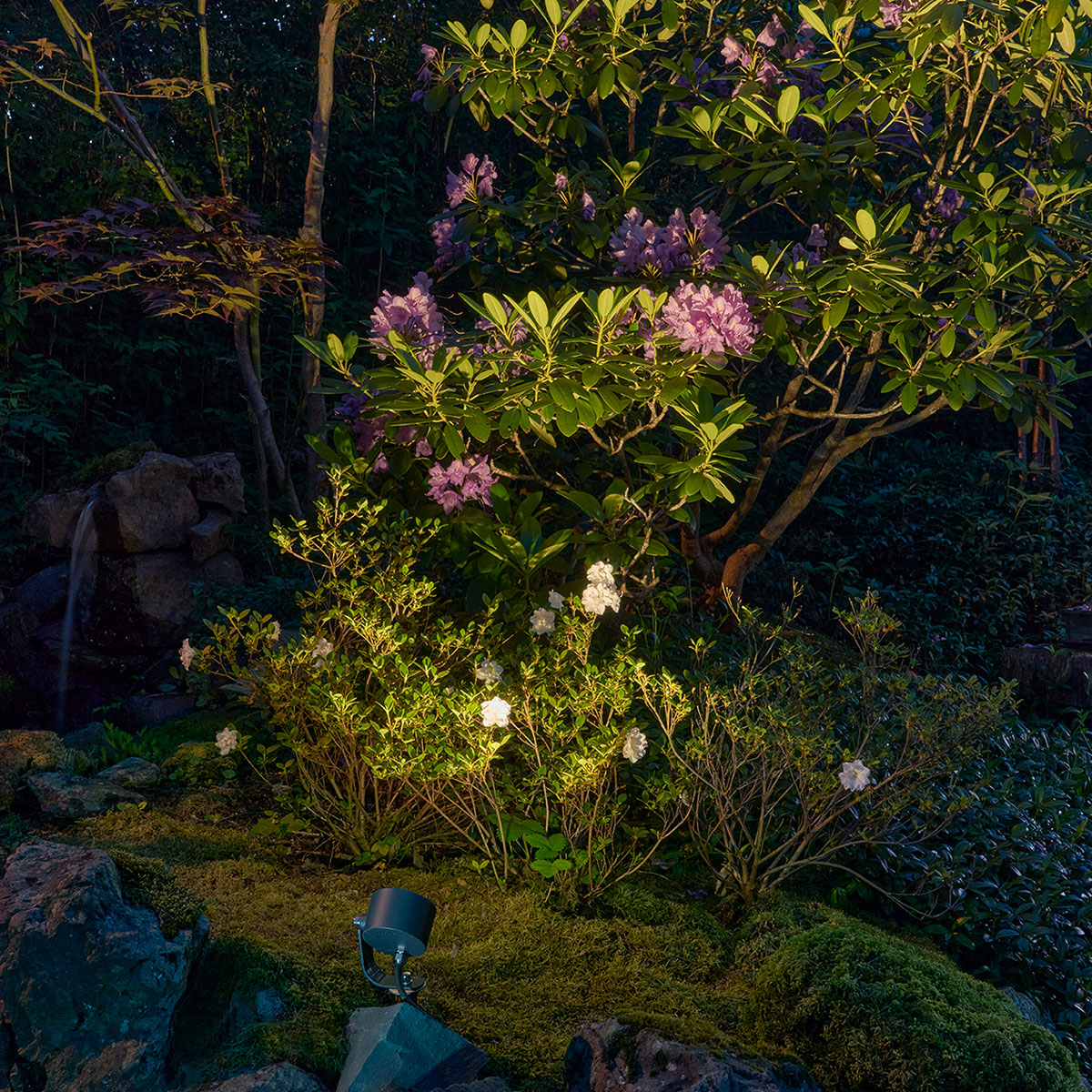 Markspot Norlys Moss