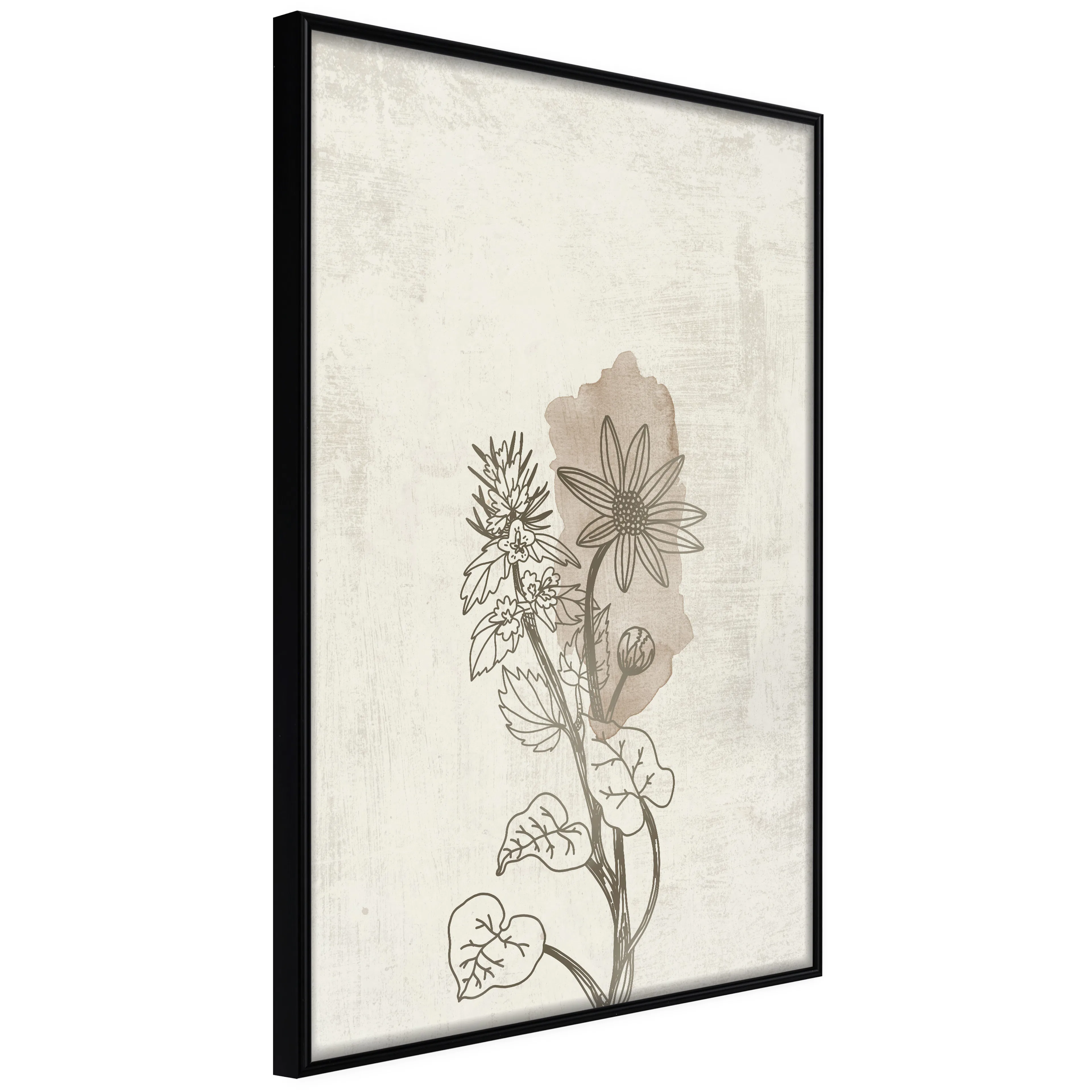 Affisch - Outline of Nature [Poster] 40x60 Svart ram, 40x60 cm