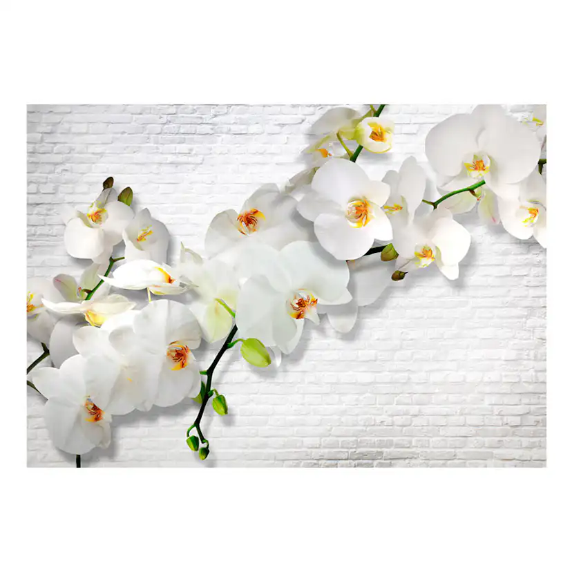 The Urban Orchid 150x105 Storlek: 150x105 cm