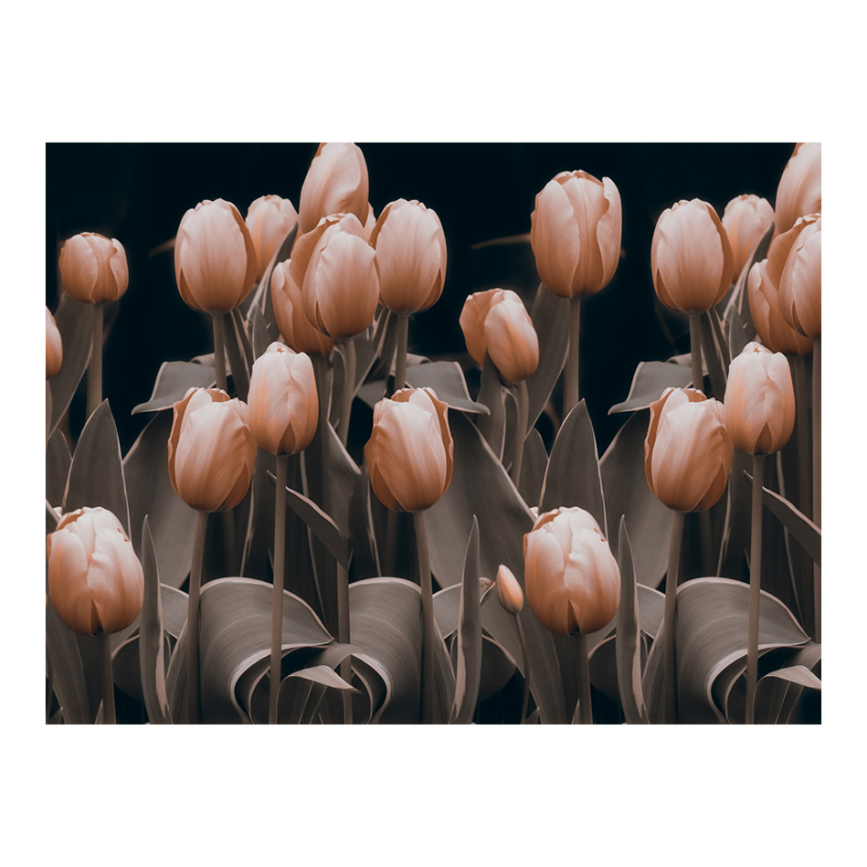 Fototapet Arkiio Ladies Among The Flowers