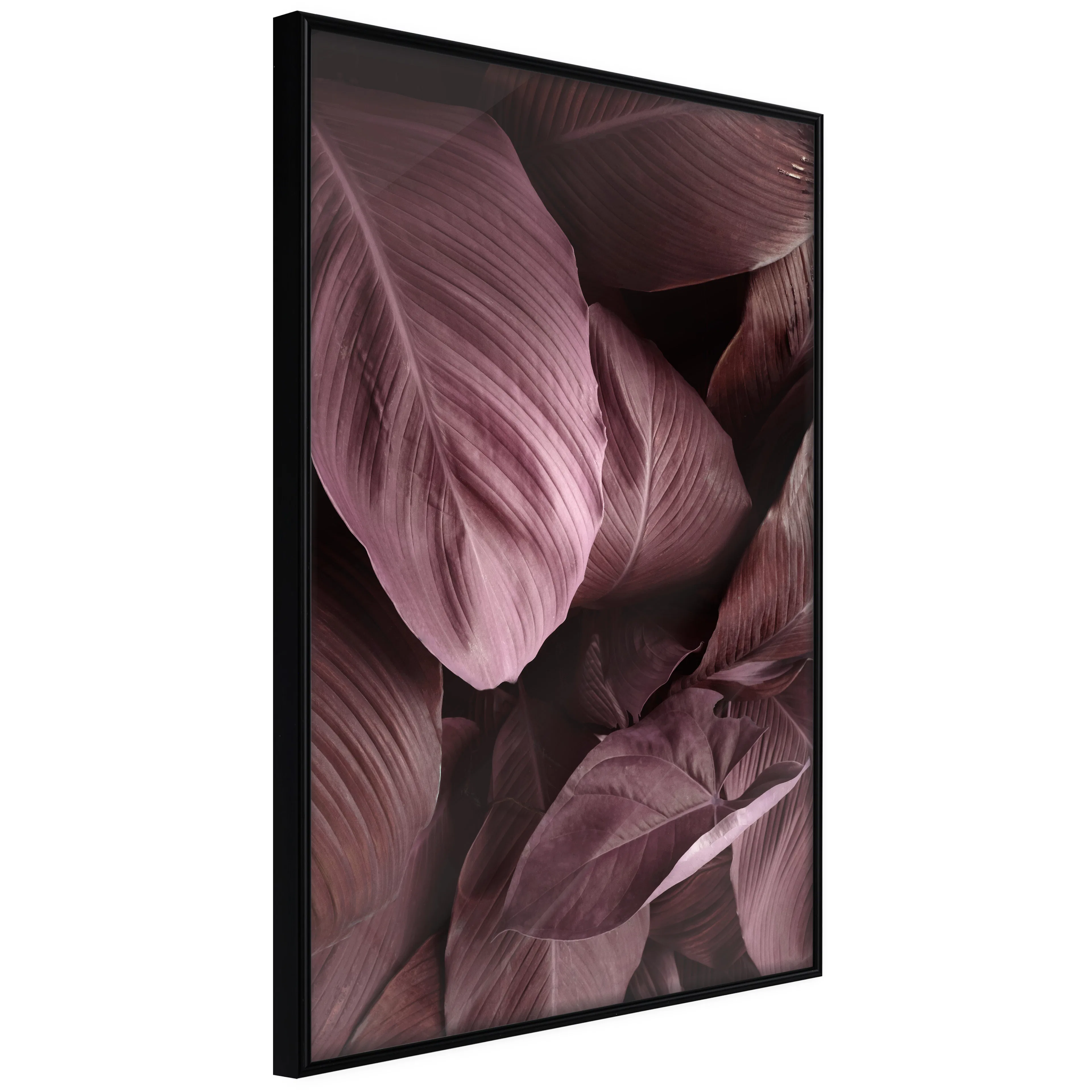 Affisch - Velvet Leaves [Poster] 20x30 Svart ram, 20x30 cm