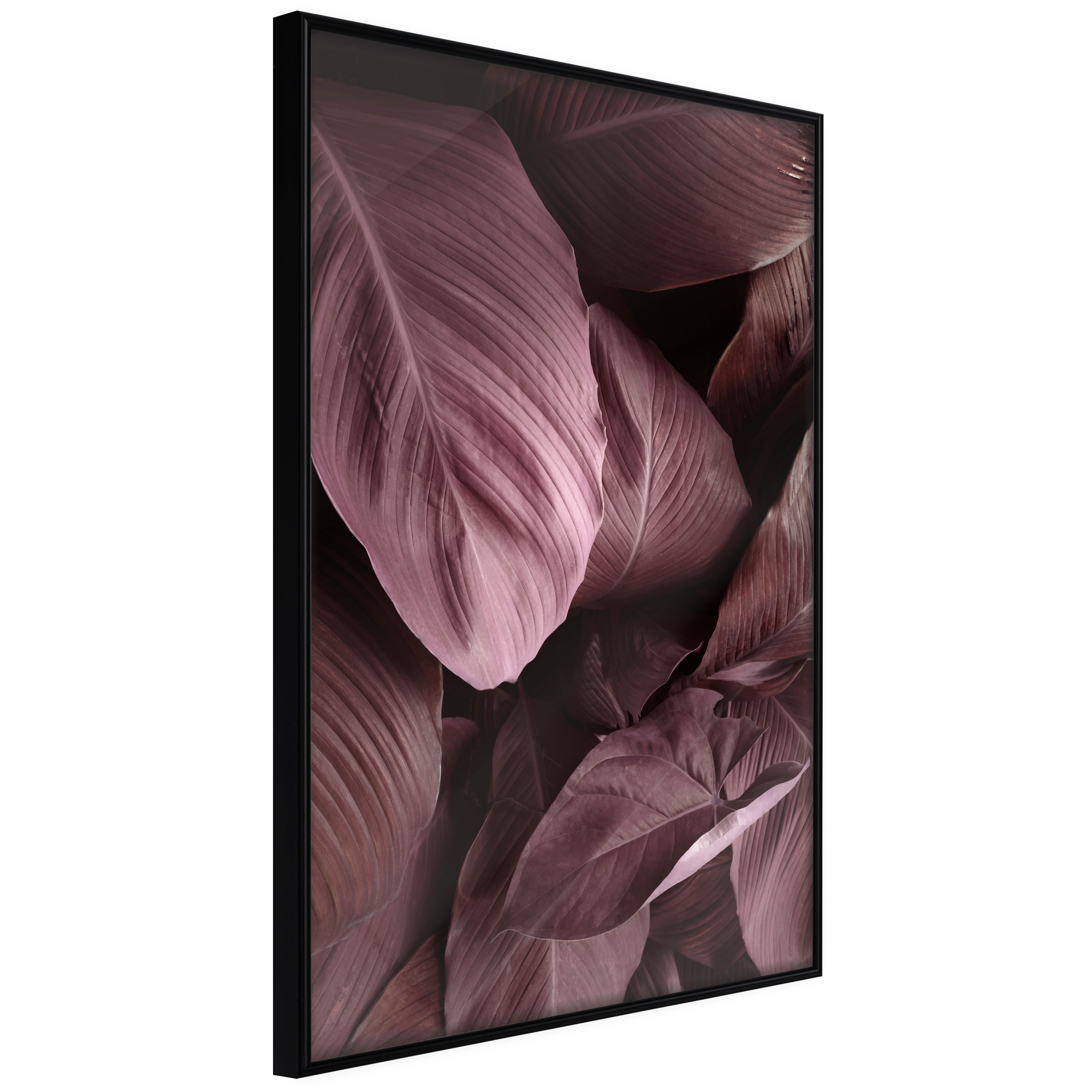 Poster Artgeist Affisch Velvet Leaves