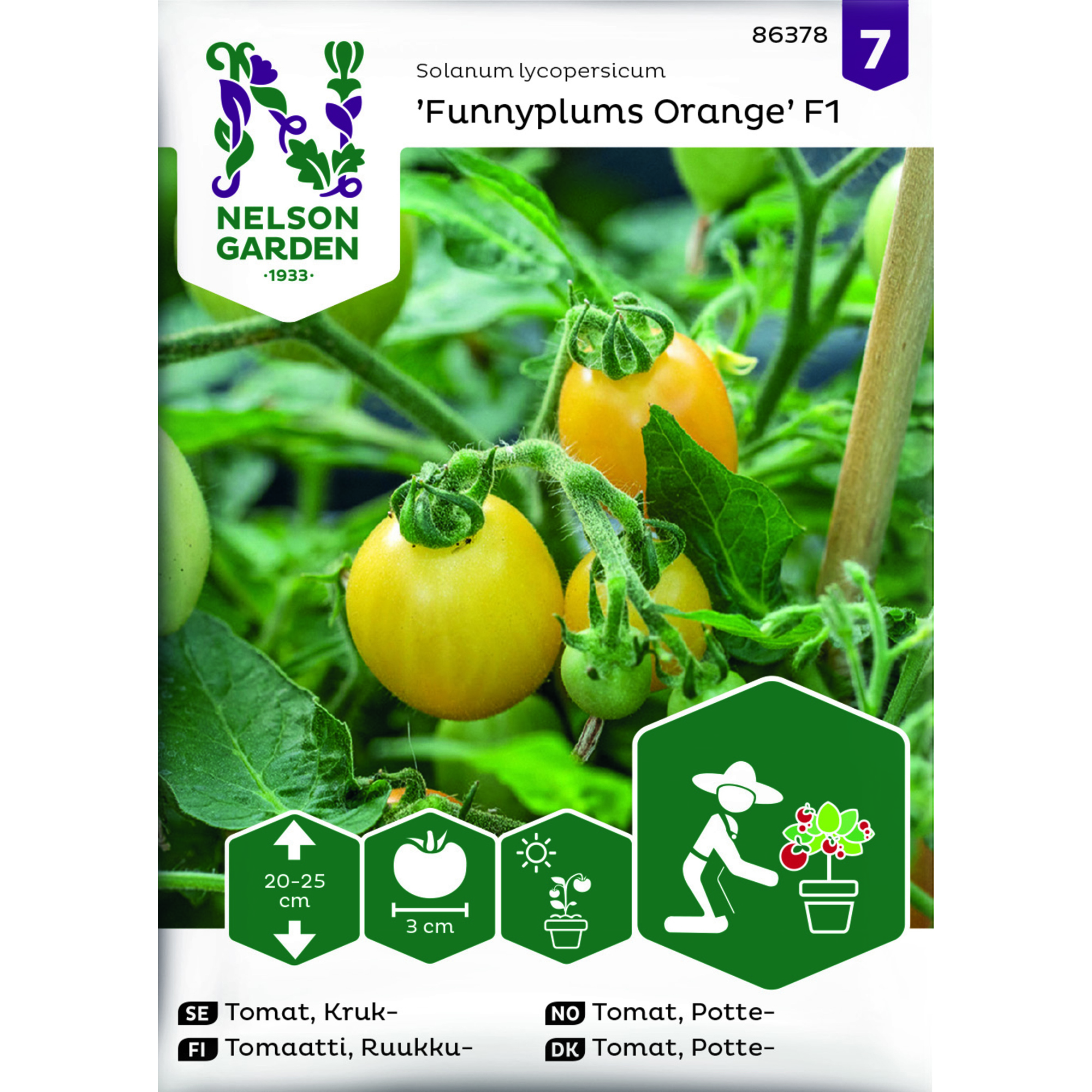 Frö Nelson Garden Tomat Funnyplums Orange F1 Kruktomat