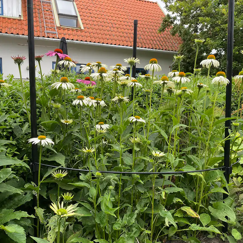 Buskstöd Flexigarden Delta