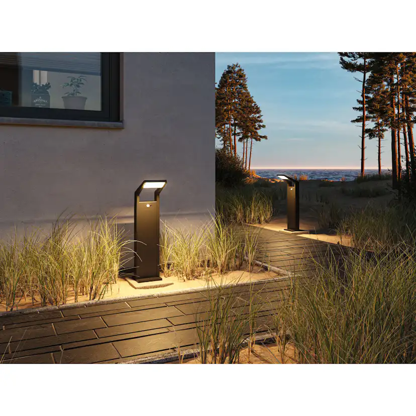 Pollare LED Paulmann Juntea med Skymningsstyrd rörelsedetektor Seawater Resistant IP44 230V