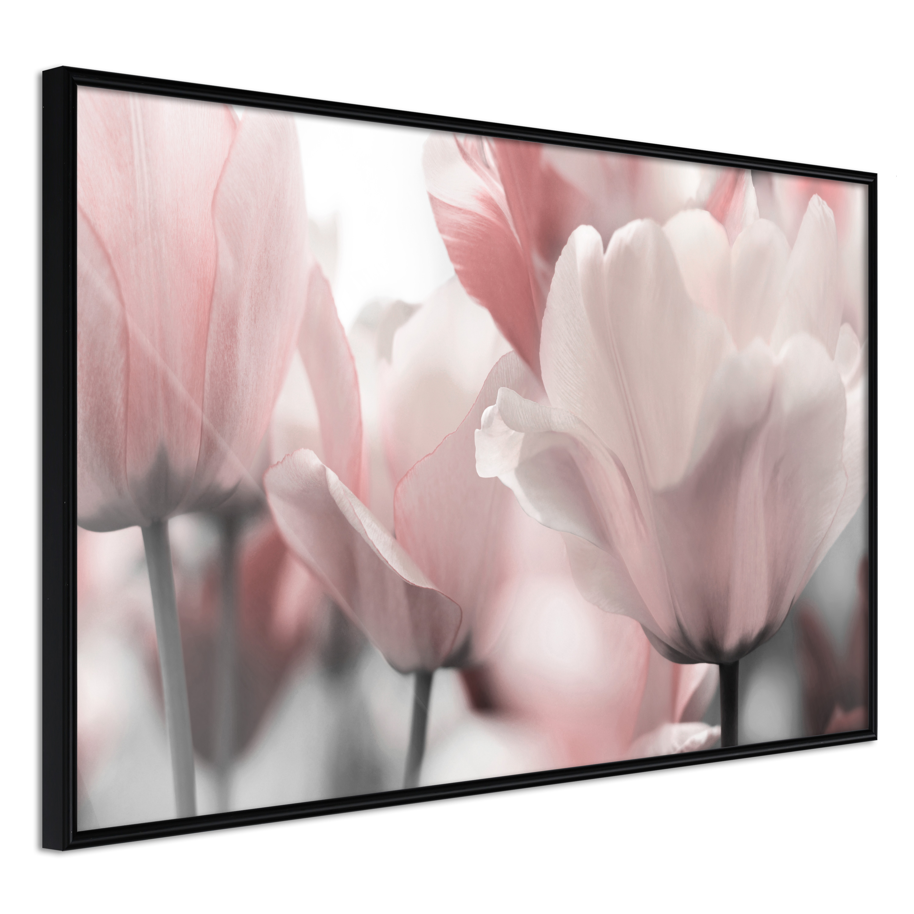 Affisch - Fabulous Tulips [Poster] 30x20 Svart ram, 30x20 cm