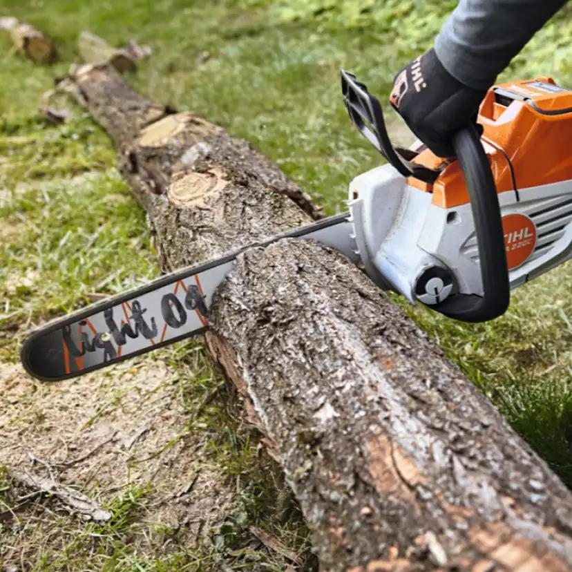 Motorsåg STIHL MSA 220 C-B Batteridriven
