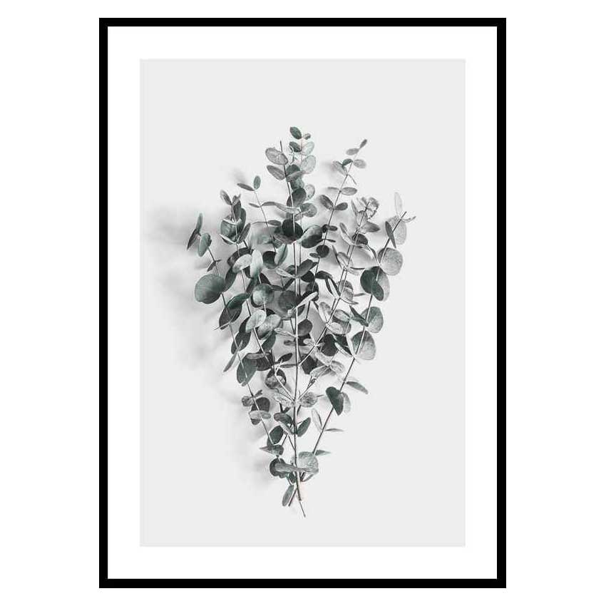 Poster Gallerix Eucalyptus No5