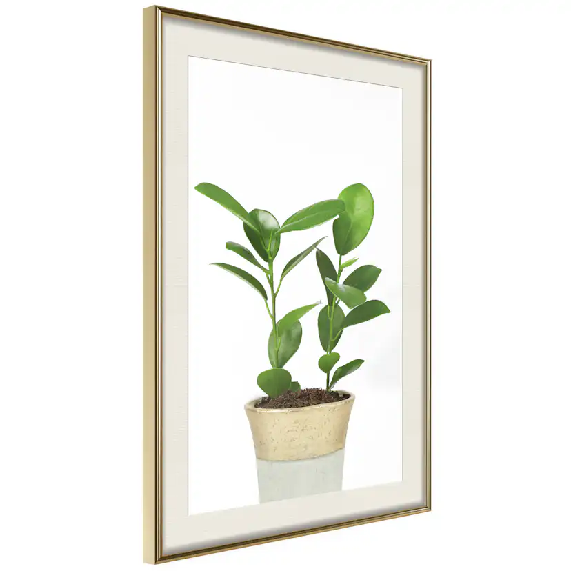 Poster Artgeist Affisch Plant In Pot