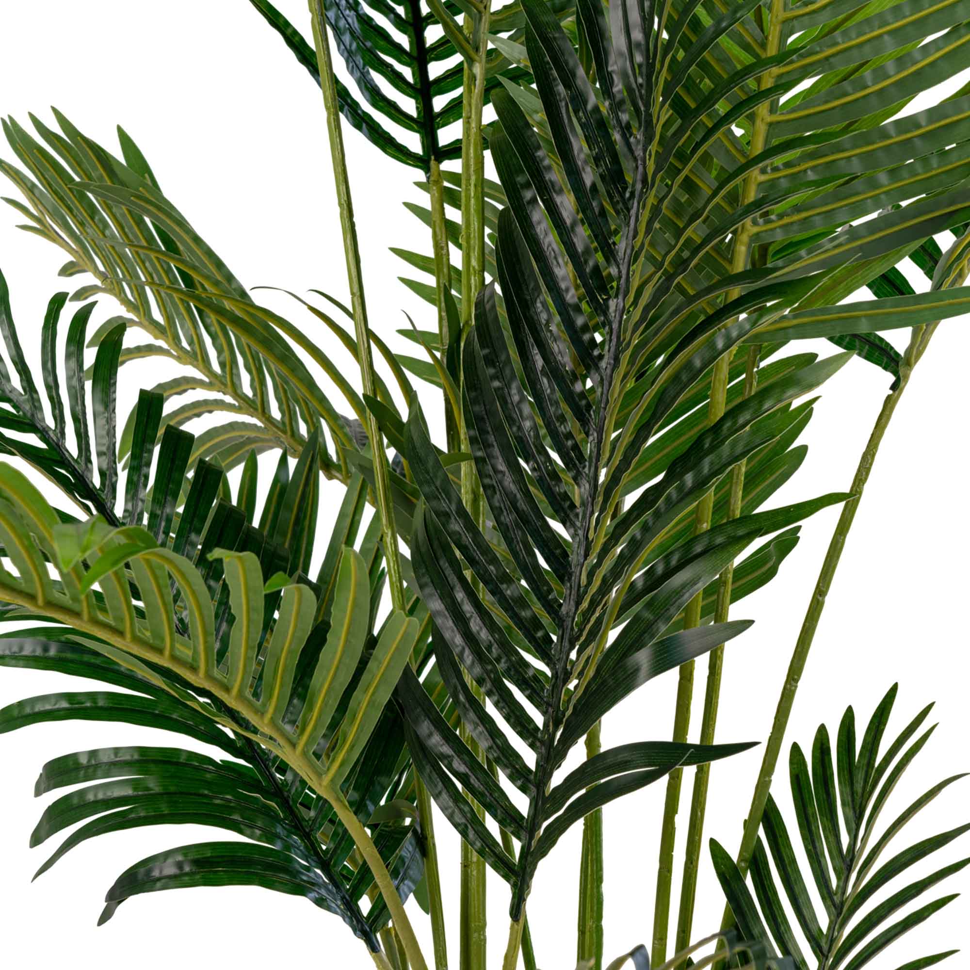 Konstväxt House Nordic Areca 175 cm