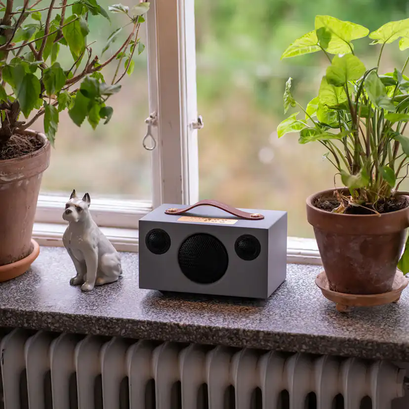 Högtalare Audio Pro C3