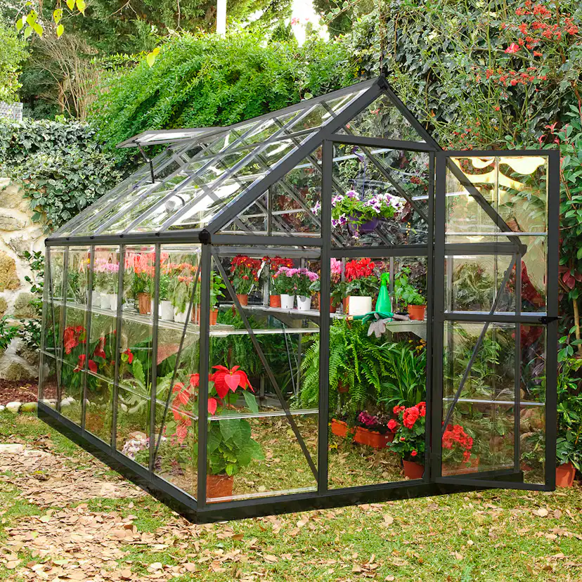 Växthus Canopia by Palram Harmony 5,7 m²