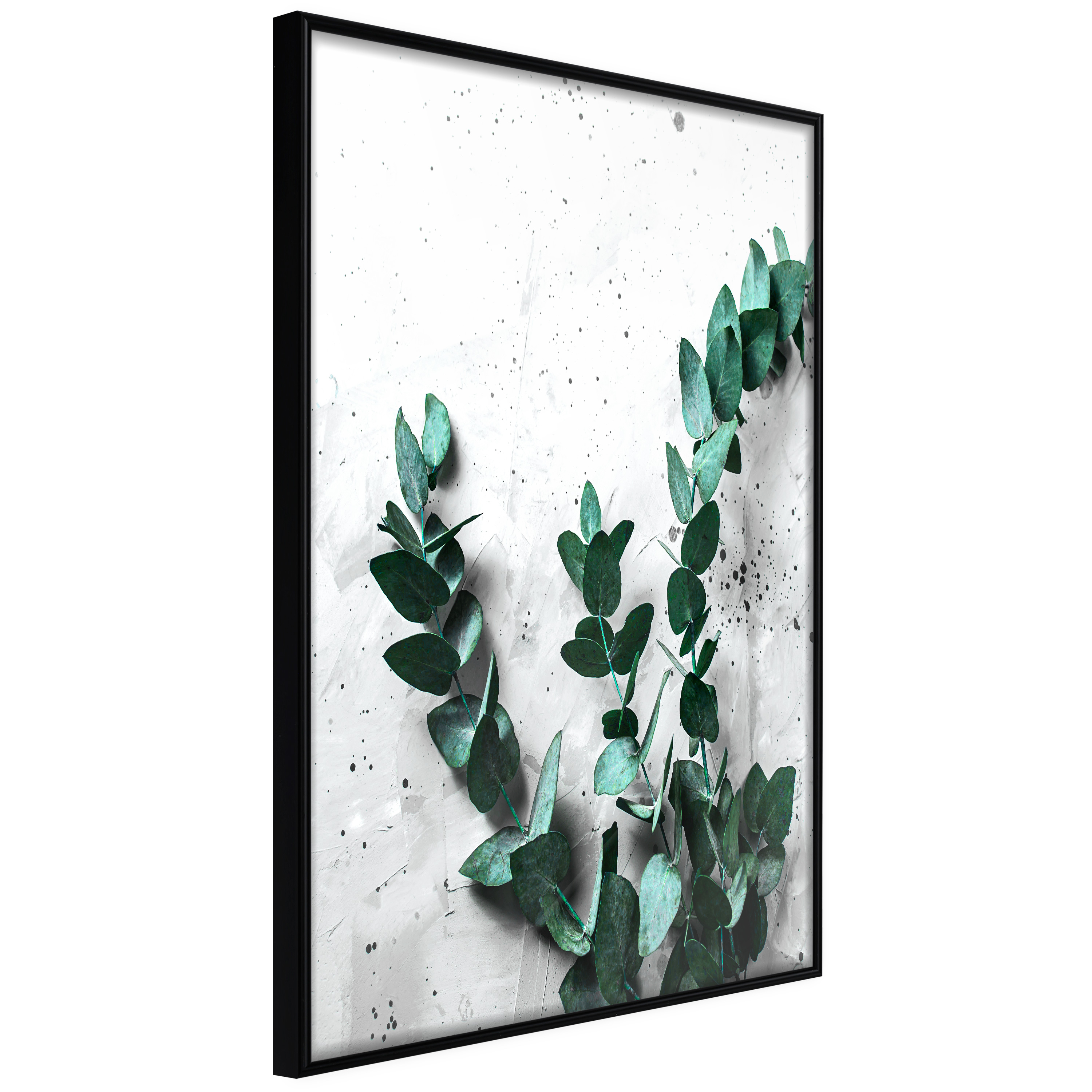 Affisch - Eucalyptus Scent [Poster] 20x30 Svart ram, 20x30 cm