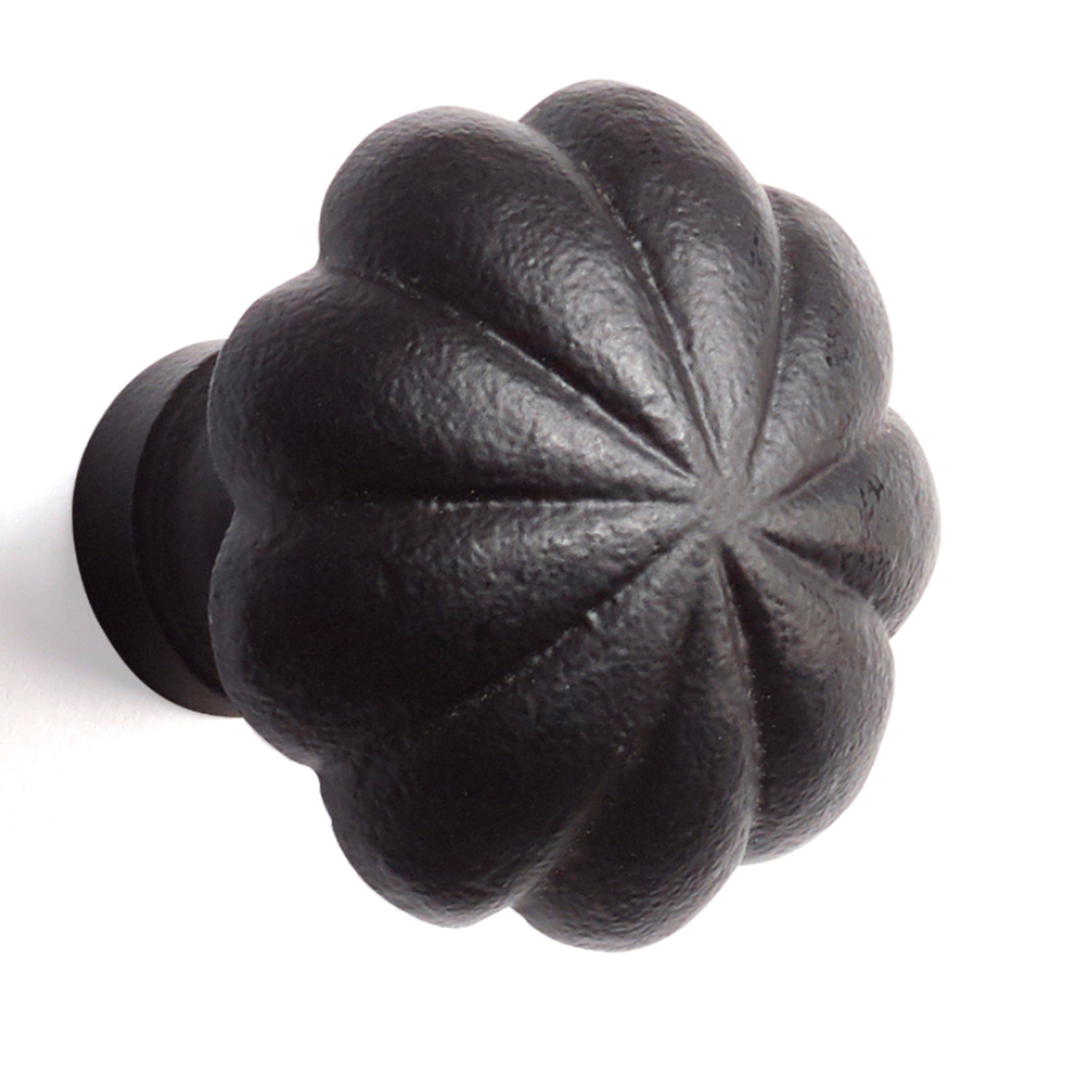 Knopp Habo Leo Smide