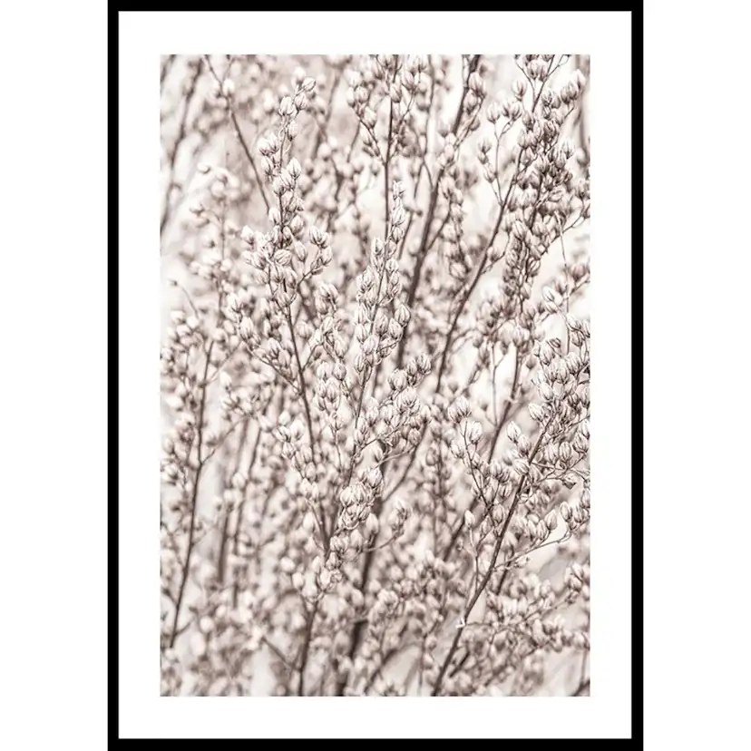 Poster Gallerix Boho Botanical