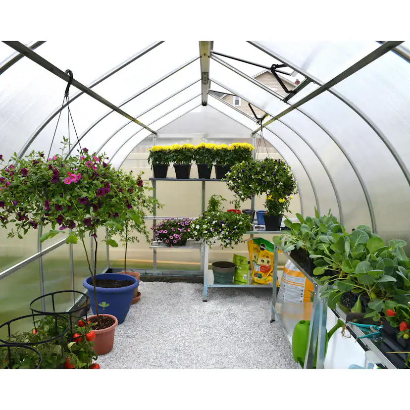 Tunnelväxthus Canopia Kivik 8,9 m²