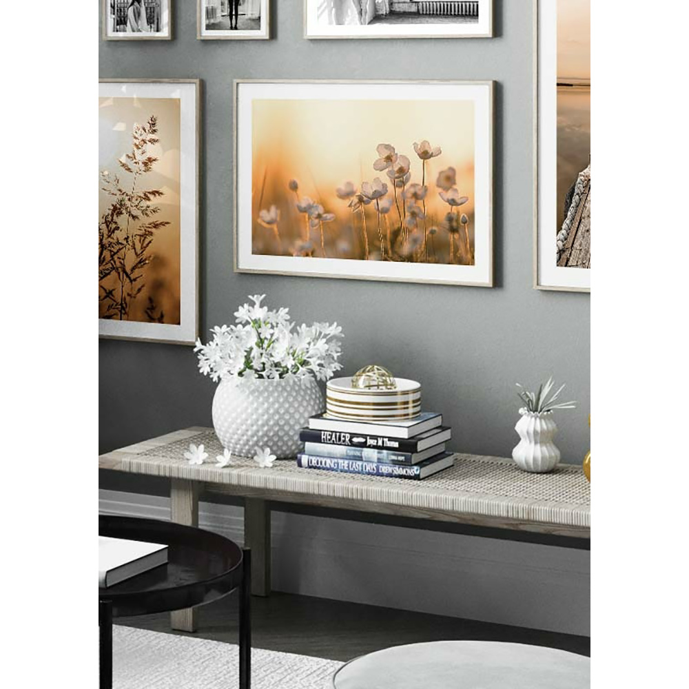 Poster Gallerix Wild Anemone In Sunset