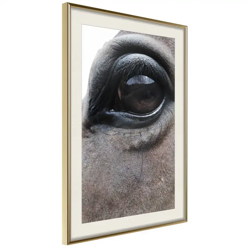 Poster Artgeist Affisch Honest Eyes