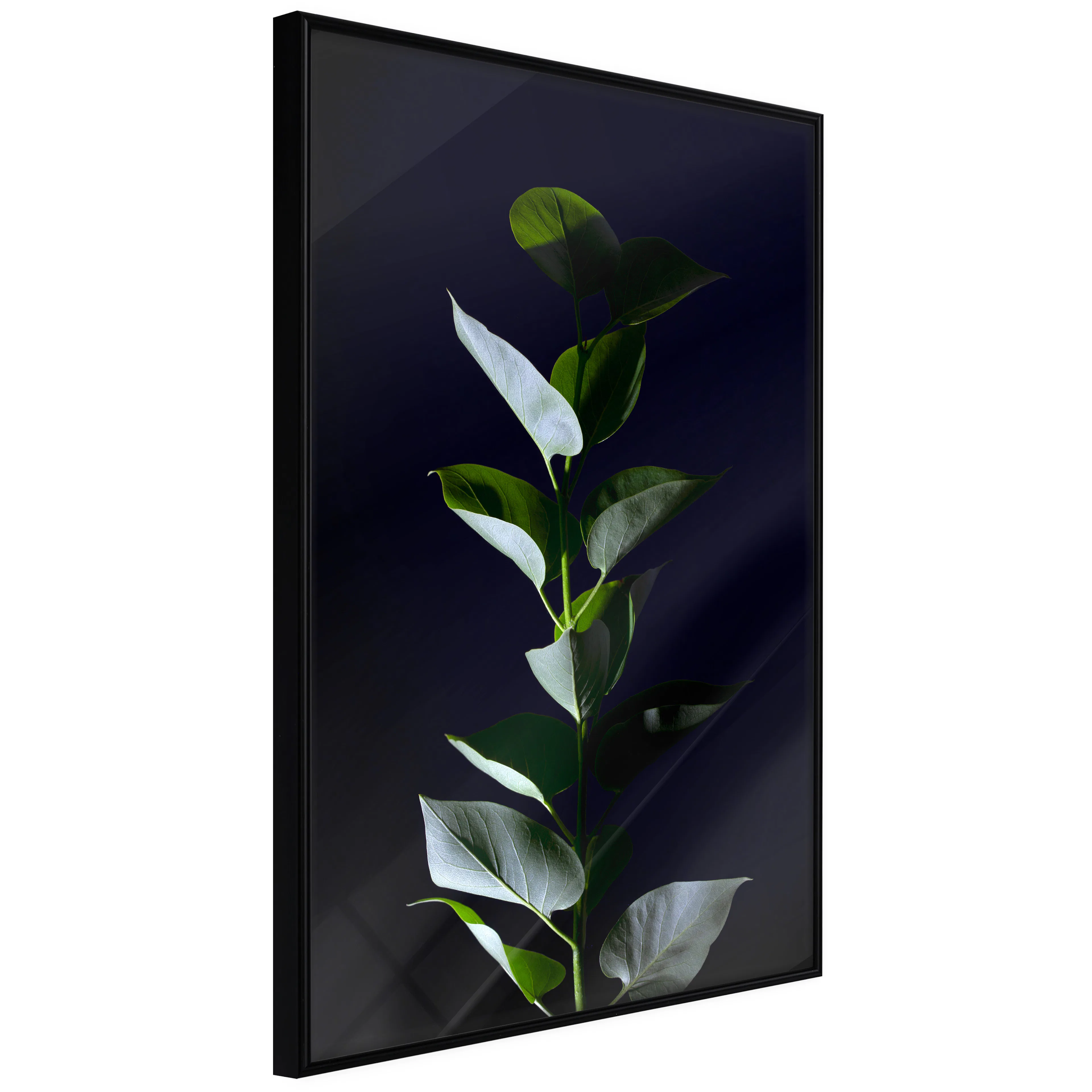 Affisch - In the Moonlight [Poster] 20x30 Svart ram, 20x30 cm