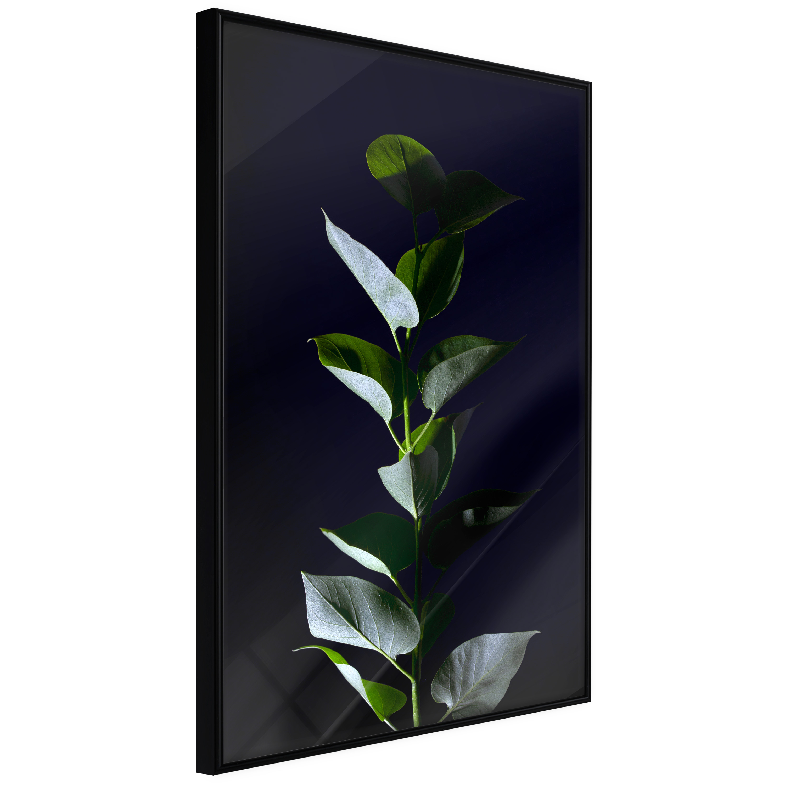 Poster Artgeist Affisch In the Moonlight