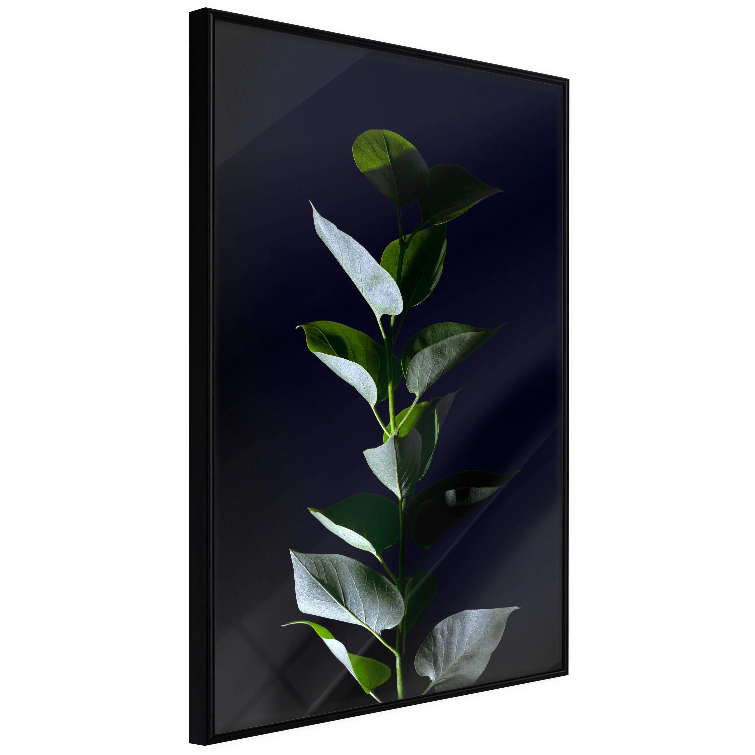 Poster Artgeist Affisch In the Moonlight