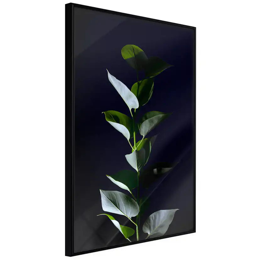 Poster Artgeist Affisch In the Moonlight