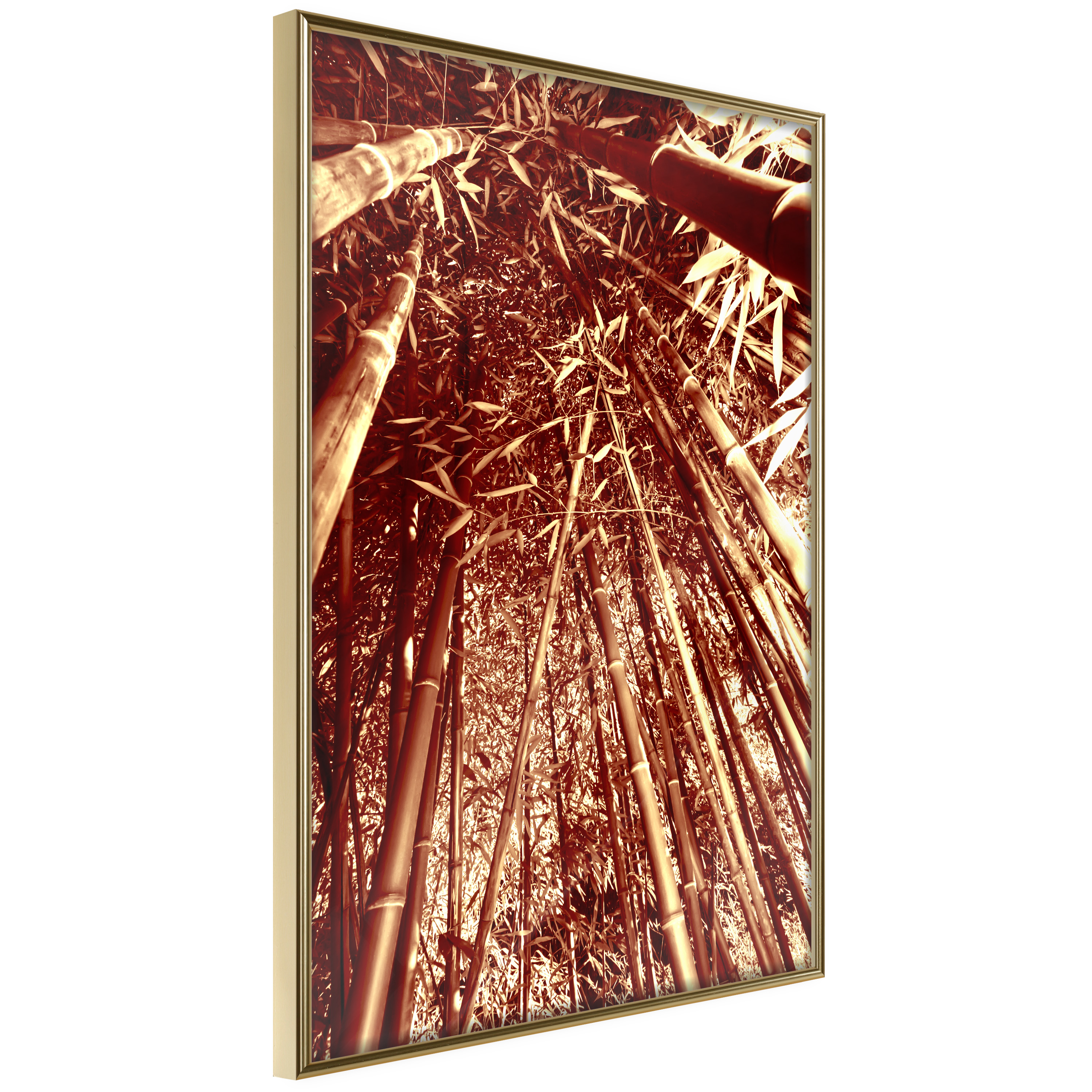Poster Artgeist Affisch Tall Bamboos