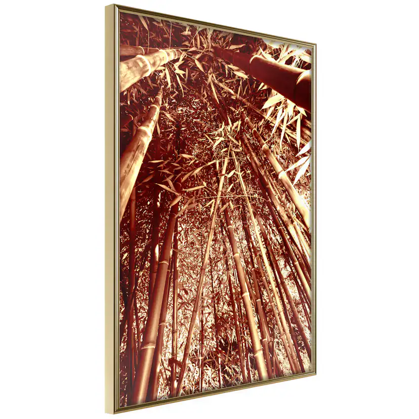 Poster Artgeist Affisch Tall Bamboos